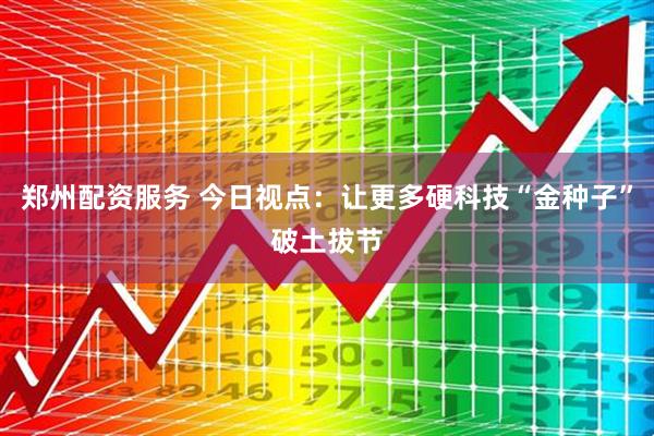 郑州配资服务 今日视点：让更多硬科技“金种子”破土拔节
