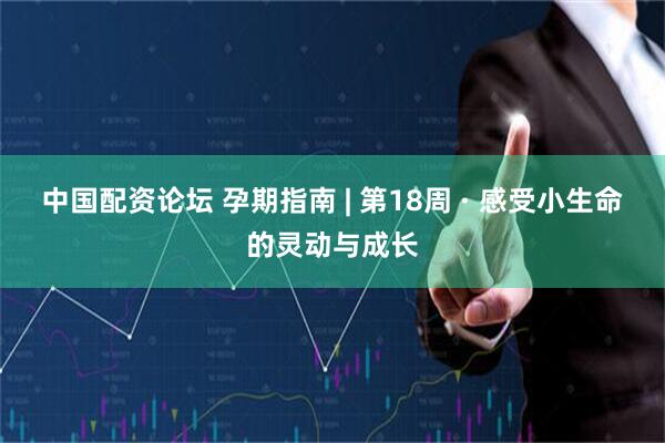 中国配资论坛 孕期指南 | 第18周 · 感受小生命的灵动与成长